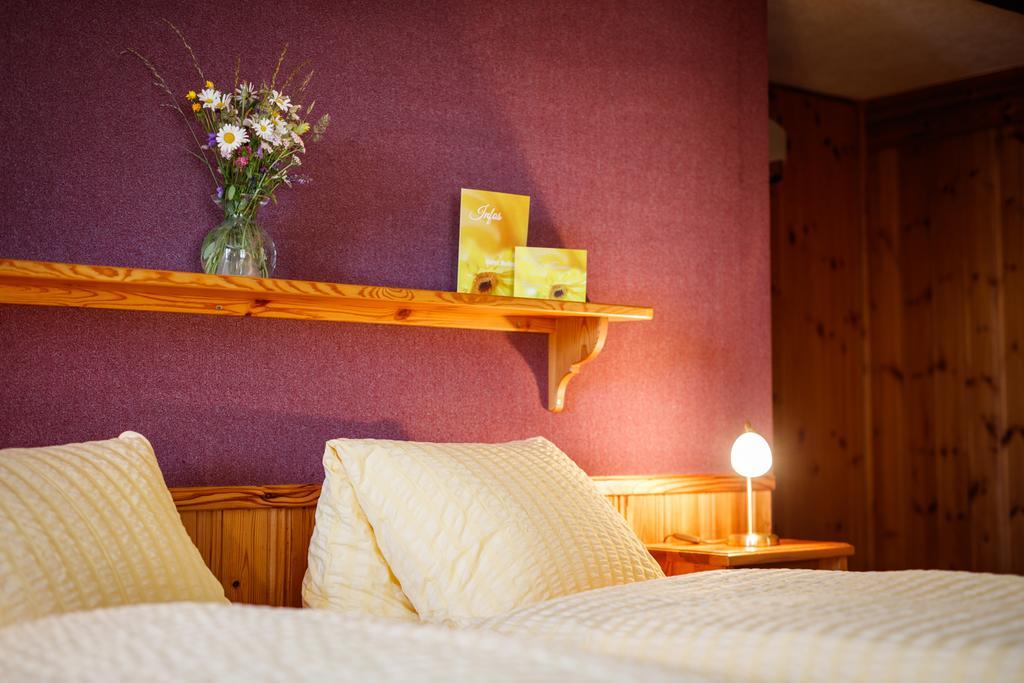 Hotel Nufenen Ulrichen Buitenkant foto